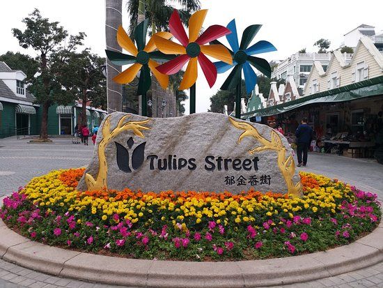 Nanshan Flower World